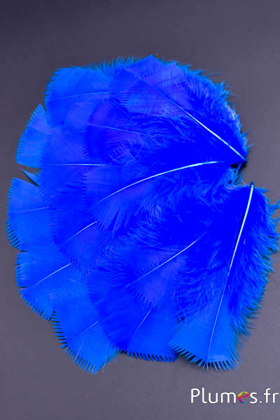 Dinde effilée - 6-8 cm - bleu